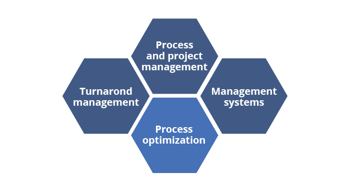 Process optimisation - CONSENZUM